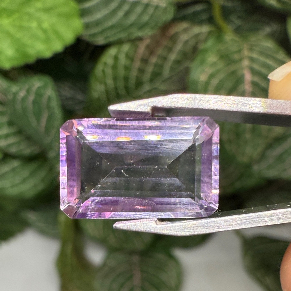 Amatrine Rectangle